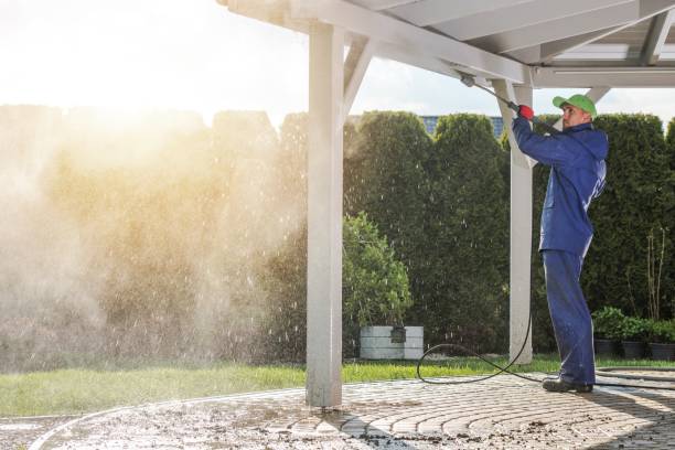Best Driveway Pressure Washing  in Hayfield, MN