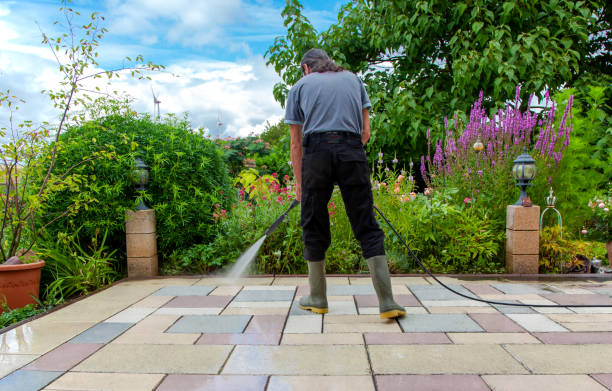Best Pool Deck Cleaning  in Hayfield, MN